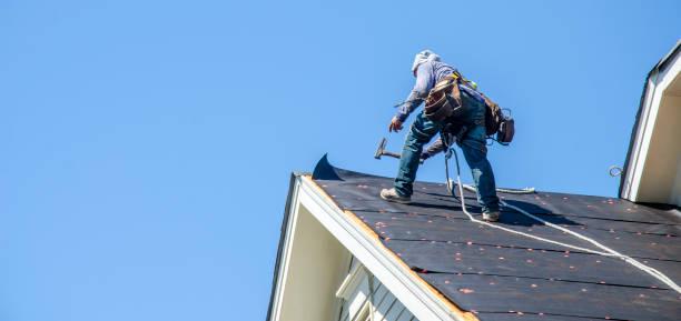 Roof Gutter Cleaning in Arcola, VA